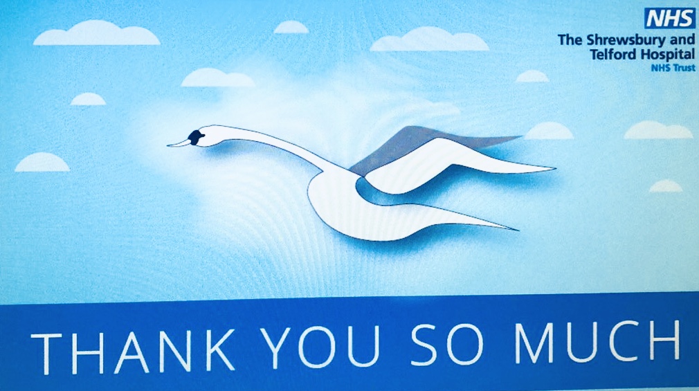 Swan Fund 8th Birthday & supporting families with travel costs to visit to say goodbye featured image