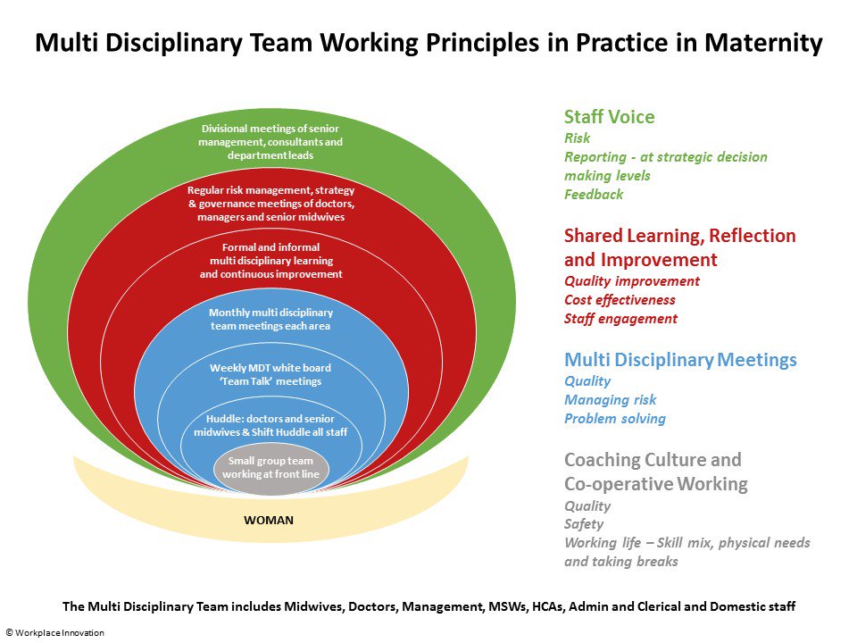Introducing Multi-Disciplinary Teamworking to Maternity Services featured image