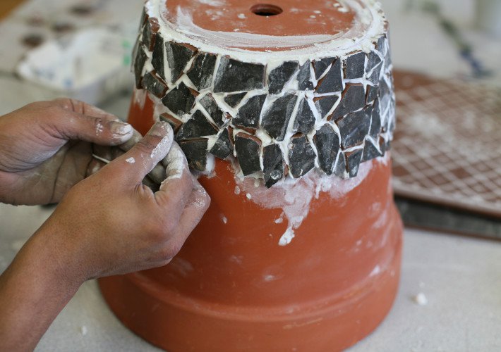 Forensic recovery college and mosaic success! featured image