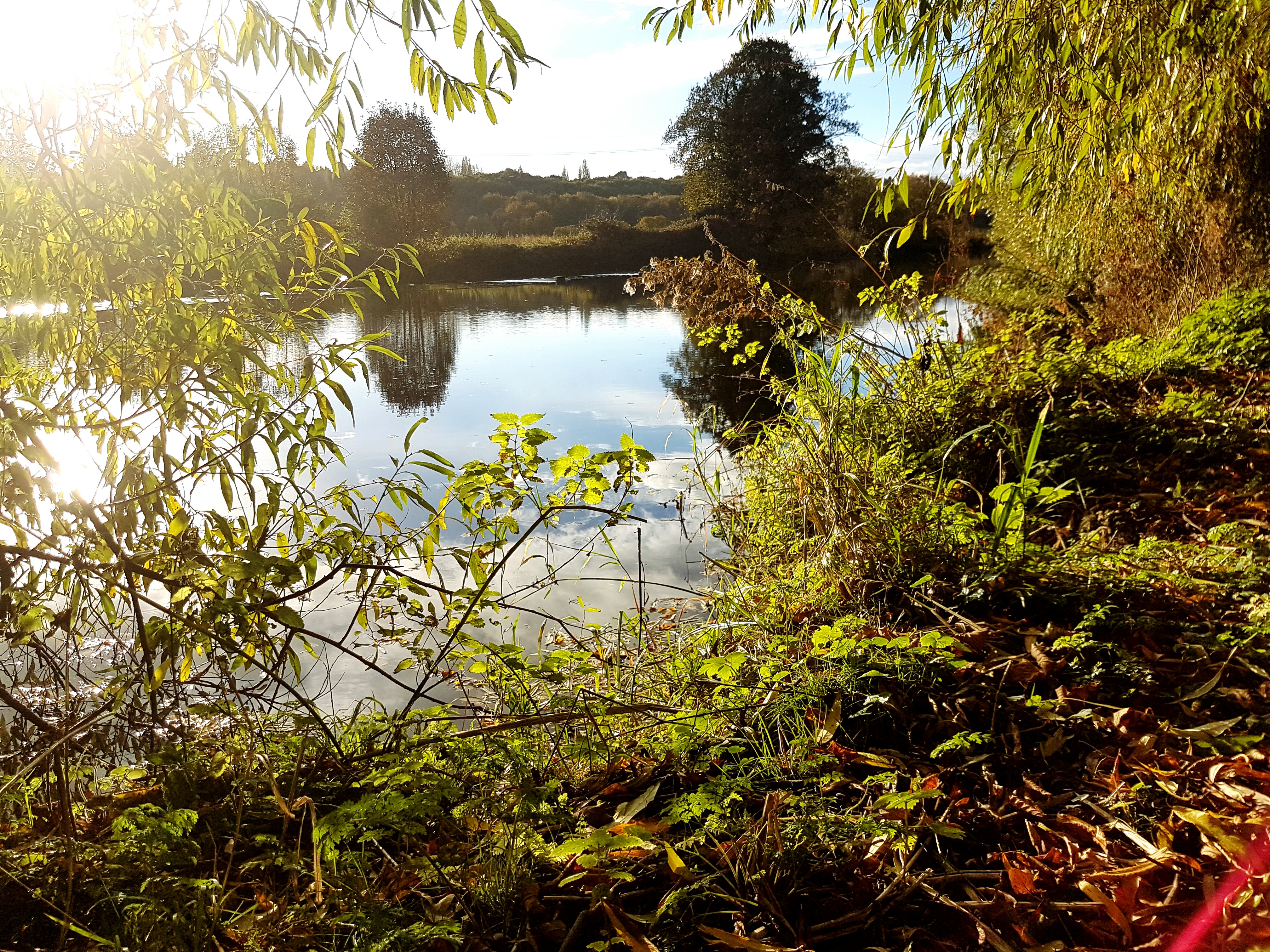 Photography health walks - taking steps to get creative featured image