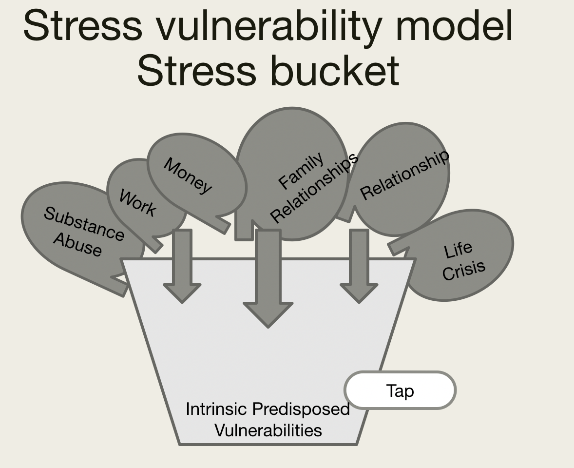 Mental Health Workshop for Non-Mental Health specific student nurses. featured image